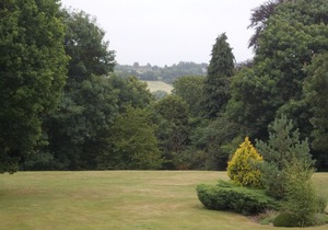 Denham Grove