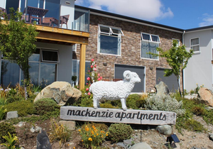 The Mackenzie Apartments