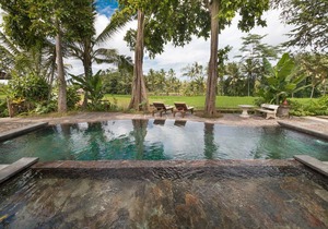 Umasari Rice Terrace Villa