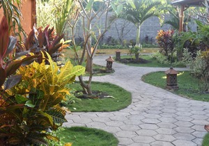 Made Taro - Menjangan Homestay