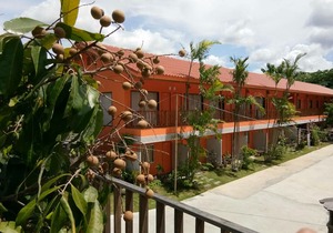 Honeyland Resort