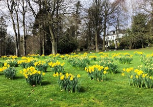 Marcliffe Hotel and Spa