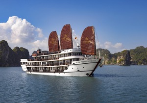 Alisa Cruise