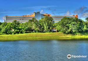 Hilton Orlando/Altamonte Springs