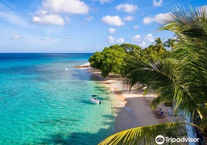 Waves Hotel & Spa by Elegant Hotels - All Inclusive