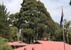 Forest Lodge Resort