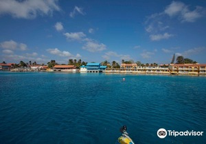Divi Flamingo Beach Resort