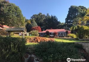 Forest Lodge Resort
