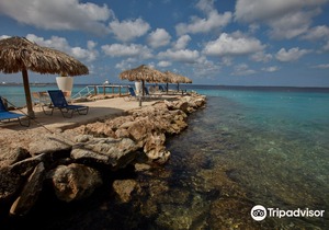 Divi Flamingo Beach Resort