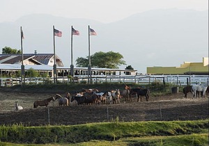 El Patio Ranch