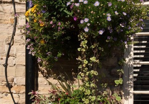The Fox and Coney Inn