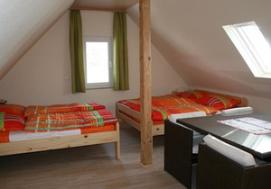 Greifenbachmühle - Apartment 4 (4 persons)
