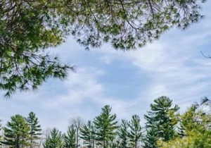 This cottage is a 2 bedroom(s), 1 bathrooms, located in Parry Sound , on.