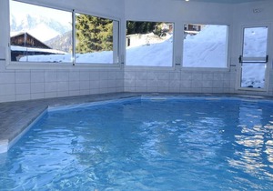 20m from resort center, fitness, swimming pool, sauna, balcony, tv, ski locker, 48m²