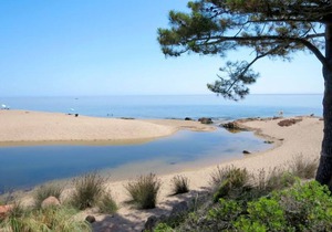 Vacation home Fium del Cavu (PIN191) in Pinarellu - 5 persons, 1 bedrooms