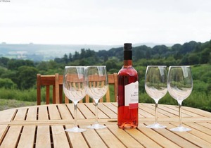 Ffermdy Llanwrtyd - Six Bedroom House, Sleeps 11