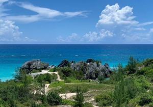 Sunset Paradise Oceanview 1Bedroom Lower Apartment Near Beaches & Railway Trail