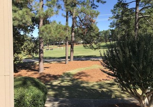 Pinehurst Perfection