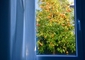 Apartment / app. for 5 guests with 50m² in Morrona (119237)