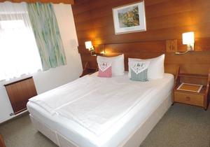 Apartment in Schernthaner guest house, free admission to public Swimming pool and sauna