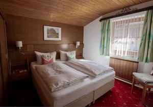 Apartment in Schernthaner guest house, free admission to public Swimming pool and sauna