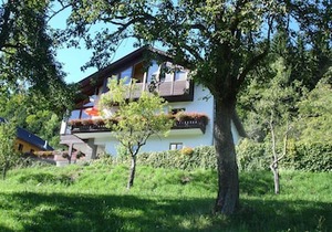 1 bedroom apartment - Ferienhaus Waldhof