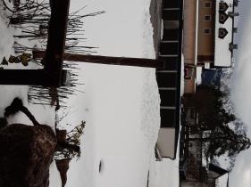 Urisee
