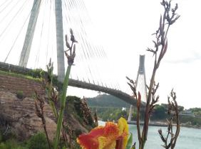 Barelang Bridge Hotel