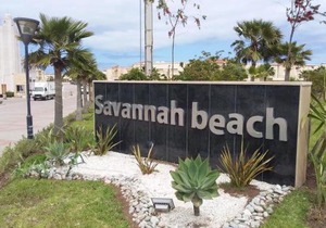 Savannah beach