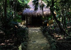 Cavelands in the Jungle