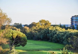 Les Golfeurs VII