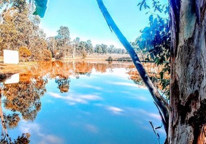 Ironbark Villa 4