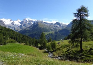 Residence Le Chalet Ayas
