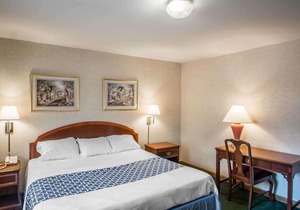 Econo Lodge Hornell
