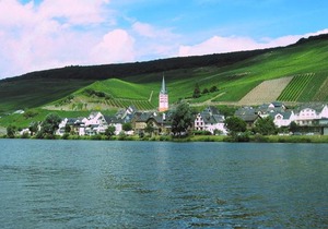 Ferienwohnung am Moselufer