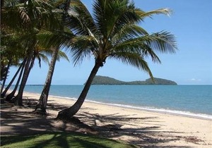 Palm Cove Tropic Apartments