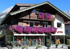Alpking Hostel
