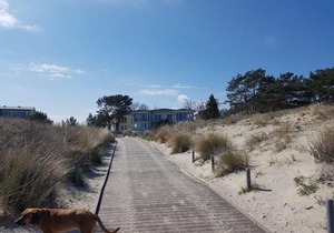 Strandoase Whg 16