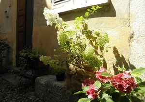 Al Vicolo Del Gallo Appartamento