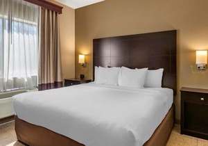 Comfort Inn & Suites Paw Paw