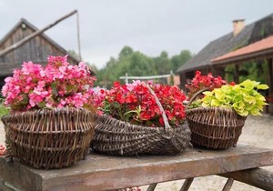 Gosciniec Folwark Nadawki