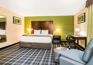 Quality Inn & Suites Albany