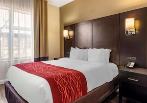 Comfort Inn & Suites near Six Flags