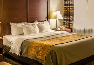 Comfort Inn Birch Run