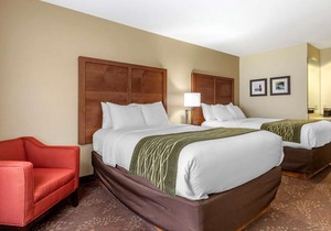 Comfort Inn Okemos - East Lansing