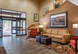 Comfort Inn Okemos - East Lansing