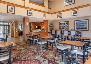 Comfort Inn Okemos - East Lansing
