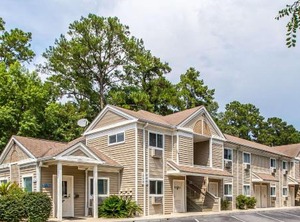 Savannah | Windsor Forest