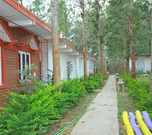 Coorg Nest Cottages 