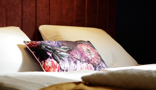 Deluxe Double Room, Balcony